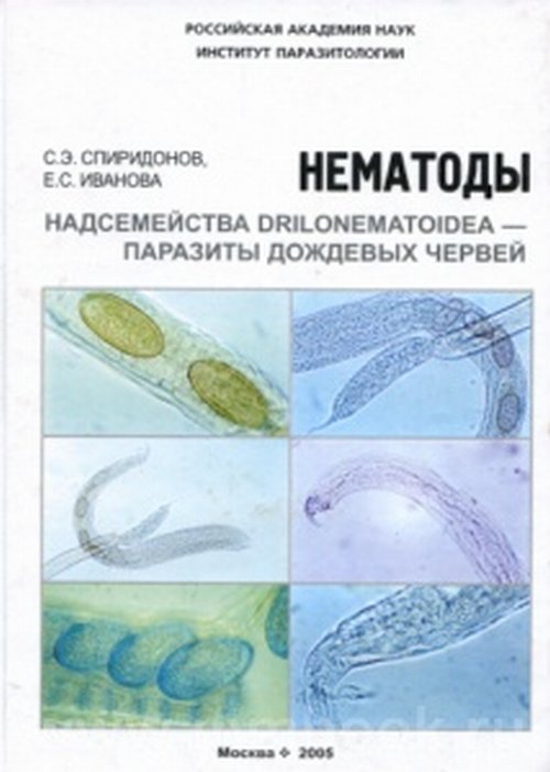  ..,  ..   Drilonematoidea -   . - .:    , 2005. - 296 .: .