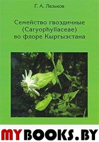  ..   (Caryophyllaceae)   . - .:    , 2006. - 272 .: .