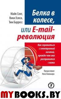   ,  E-mail .     ,      